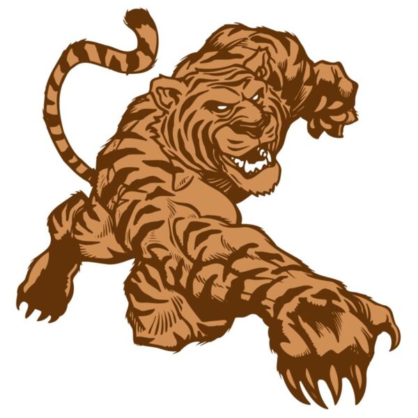 AR TIGER 56 RC Thumbnail