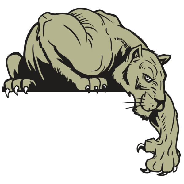 AR10 PANTHER 06 RQC Thumbnail